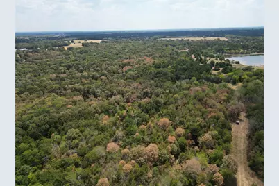 25 Acres County Road 1019, Celeste, TX 75423 - Photo 6