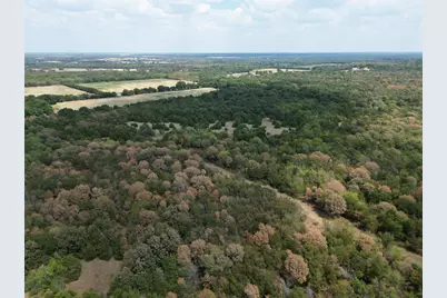 25 Acres County Road 1019, Celeste, TX 75423 - Photo 4