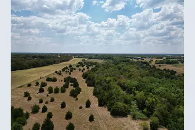 50 Acres County Road 1026, Celeste, TX 75423 - Photo 8