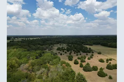 50 Acres County Road 1026, Celeste, TX 75423 - Photo 6