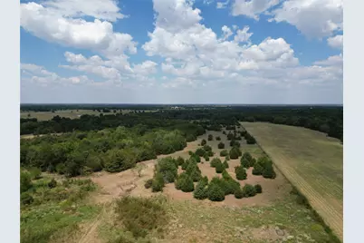 50 Acres County Road 1026, Celeste, TX 75423 - Photo 2