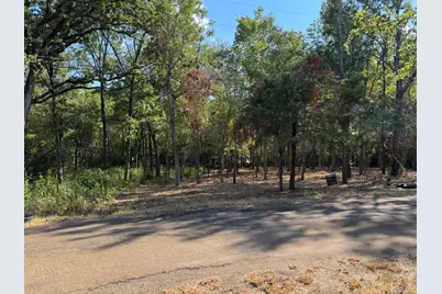 Tbd Garner Drive, Mabank, TX 75156 - Photo 2