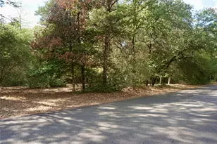 Tbd Lot 146 (Evening Shadows Trail) Trail, Holly Lake Ranch, TX 75765 - Photo 1