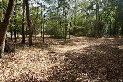 Tbd Lot 146 (Evening Shadows Trail) Trail, Holly Lake Ranch, TX 75765 - Photo 4