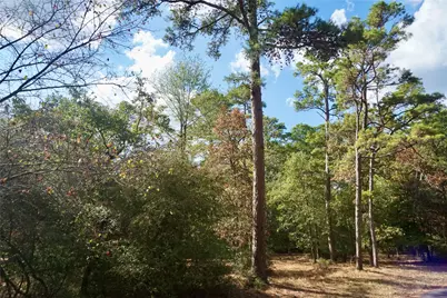 Tbd Lot 146 (Evening Shadows Trail) Trail, Holly Lake Ranch, TX 75765 - Photo 10