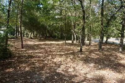 Tbd Lot 146 (Evening Shadows Trail) Trail, Holly Lake Ranch, TX 75765 - Photo 6