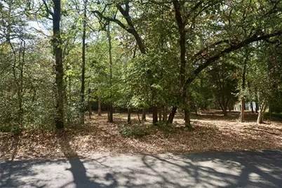 Tbd Lot 146 (Evening Shadows Trail) Trail, Holly Lake Ranch, TX 75765 - Photo 2