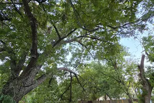 1218 Bliss St, Dallas, TX 75203 - Photo 1