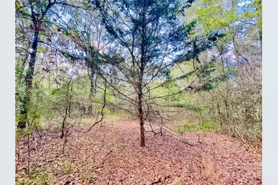 0000 Apple Tree Road, Gilmer, TX 75644 - Photo 8
