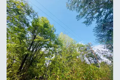 0000 Apple Tree Road, Gilmer, TX 75644 - Photo 20