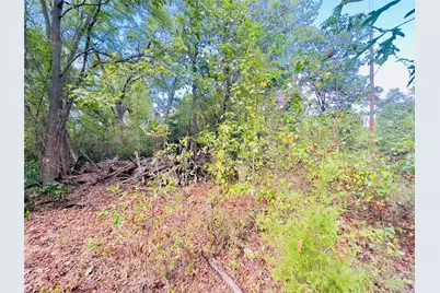0000 Apple Tree Road, Gilmer, TX 75644 - Photo 2