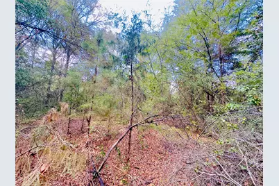0000 Apple Tree Road, Gilmer, TX 75644 - Photo 4