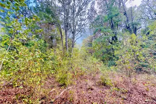 0000 Apple Tree Rd, Gilmer, TX 75644 - Photo 1