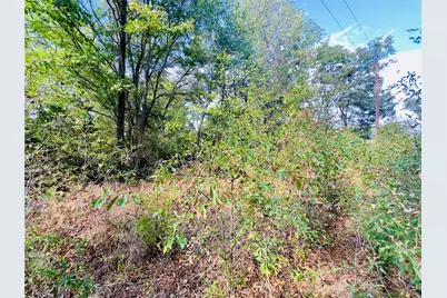 0000 Apple Tree Road, Gilmer, TX 75644 - Photo 22