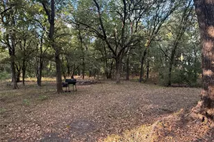 288 Co Rd 4430, Whitewright, TX 75491 - Photo 6