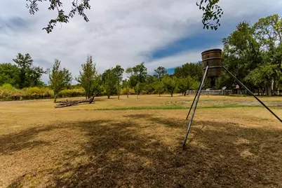 5927 Wolf Trail, Celina, TX 75009 - Photo 16