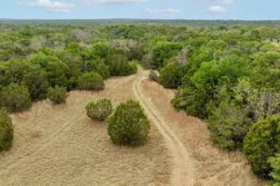 2523 Co Rd 218, Hico, TX 76457 - Photo 16