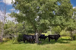574 Co Rd 134, Gainesville, TX 76240 - Photo 18