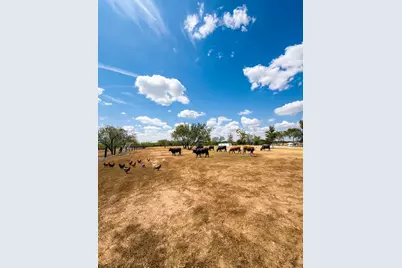 6049 County Road 1030 B, Rice, TX 75155 - Photo 10