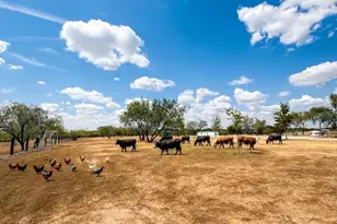 6049 County Rd 1030 B, Rice, TX 75155 - Photo 10