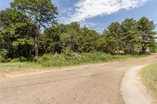 Tbd Valley View, Frankston, TX 75763 - Photo 1