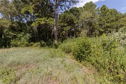 000 Valley View #1544ac, Frankston, TX 75763 - Photo 4