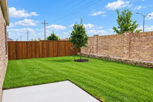907 Chicadee St, Princeton, TX 75407 - Photo 28