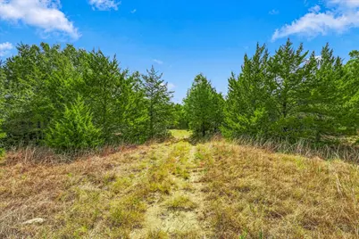Tbd Fm 1578, Frost, TX 76641 - Photo 4