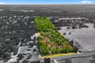 Tbd Fm 1578, Frost, TX 76641 - Photo 1