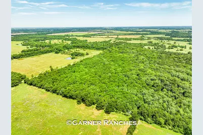 0000 County Road 1019, Celeste, TX 75423 - Photo 4