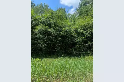 0 County Road 3419, Hawkins, TX 75765 - Photo 4