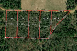 Tbd County Road 3999, Winnsboro, TX 75494 - Photo 1