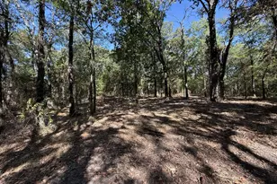 Lot 2 Wood Creek Dr, Lone Oak, TX 75453 - Photo 1