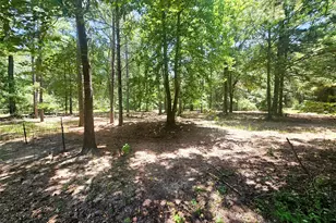 1115 Co Rd 3160, Quitman, TX 75783 - Photo 30