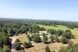 1115 Co Rd 3160, Quitman, TX 75783 - Photo 32