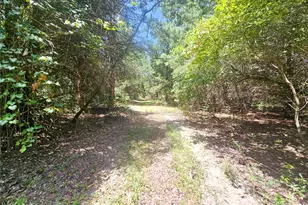 1115 Co Rd 3160, Quitman, TX 75783 - Photo 26