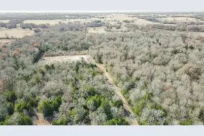 000 County Road 506, Fairfield, TX 75840 - Photo 6