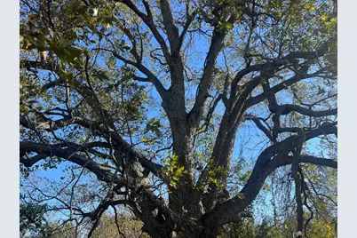 0000 Lcr 454, Groesbeck, TX 76642 - Photo 4