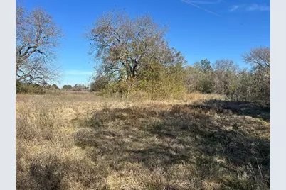 0000 Lcr 454, Groesbeck, TX 76642 - Photo 10