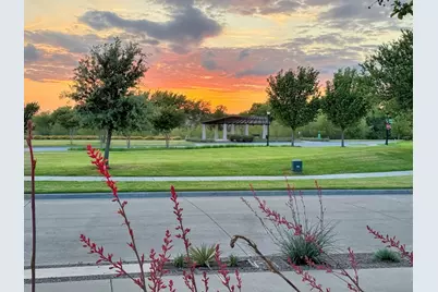 4428 Sunflower Lane, Celina, TX 75078 - Photo 4