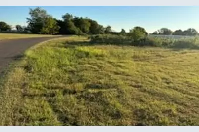 101 Lea Dr, Gun Barrel City, TX 75156 - Photo 6