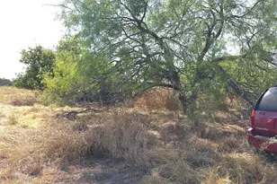 1774 N Bosley Rd, Santo, TX 76472 - Photo 20
