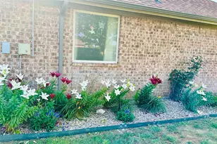 1236 Woodbridge Ct, Willow Park, TX 76087 - Photo 4