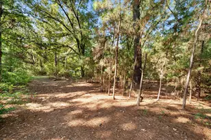 6723 Co Rd 4837, LaRue, TX 75770 - Photo 10