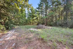 6723 Co Rd 4837, LaRue, TX 75770 - Photo 8