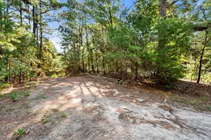6723 Co Rd 4837, LaRue, TX 75770 - Photo 30