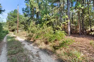 6723 Co Rd 4837, LaRue, TX 75770 - Photo 28