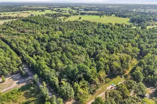 6723 Co Rd 4837, LaRue, TX 75770 - Photo 22