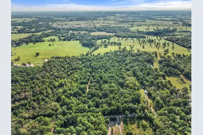 6723 County Road 4837, LaRue, TX 75770 - Photo 12