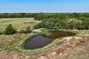 14203 Co Rd 2900, Eustace, TX 75124 - Photo 8